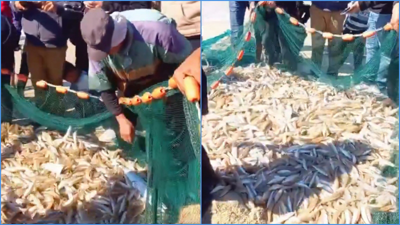 ইসরায়েলি নৌবাহিনী ব্যস্ত থাকায় সুযোগে মাছ ধরলেন গাজার জেলেরা